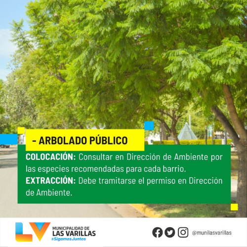 Obra 3